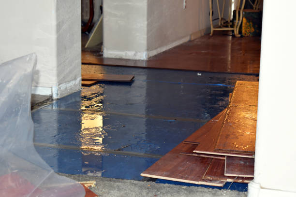 Professional Burst Pipe Cleanup technician working in Lyons, TX